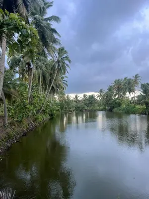 a river with palm trees on the side of it at Essaar Punnot Farmstay Resort in Kollengode
