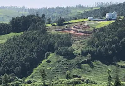 an overhead view of a hill with trees and a field at Palazzo Villa in Ooty