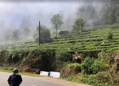 a man walking down a road next to a hill at Palazzo Villa in Ooty