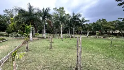 a field with palm trees and a fence at Aasana A tranquil space by the hills in Mysore