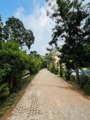 a brick road with trees on either side of it at Vythiri Greens Holiday Resorts in Vythiri