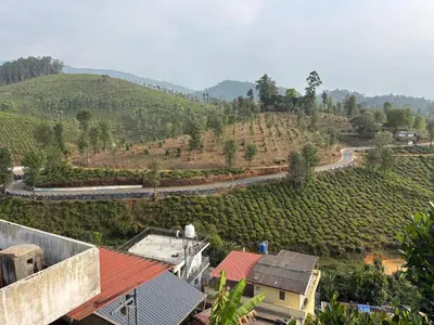 an aerial view of a vineyard with a road in the distance at The Retreat in Vālpārai