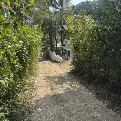 Hibisco Hideout
