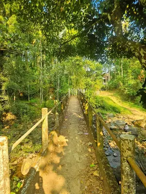a dirt road with a fence next to a forest at Mamoksha Riverdale in Padinjarathara