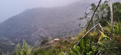 a view of a hillside with a mountain at White House Cottage in Ooty