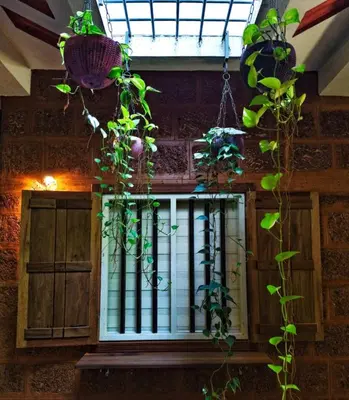 Gallery image of Eco-friendly 3bhk Hosted Homestay in Trichūr