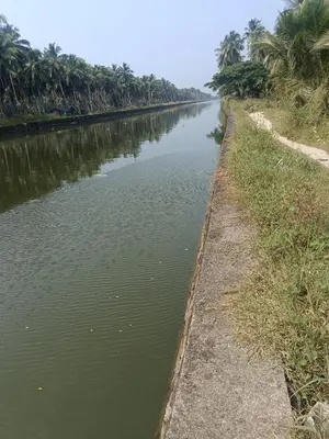 a river with palm trees on the side of it at Paarpidam in Tānūr