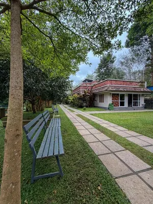 a park bench next to a tree and a building at Maple grove villa resort in Panamaram