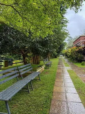 a row of park benches sitting in a park at Maple grove villa resort in Panamaram