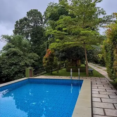 Maple grove villa resort