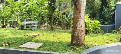 a bench sitting in the grass next to a tree at Bougainvilla Luxury Individual Villa Kozhikode in Kunnamangalam