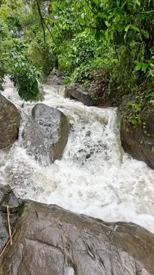 a stream of water with rocks and trees at Hayden in Kakkadampoyil