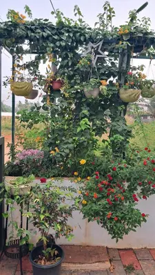 a garden with flowers and plants in pots at Mendez Residency in Ernakulam