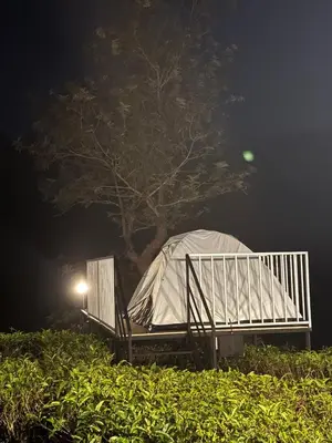 a white tent in front of a tree at night at Boche LuxCamp 1000 Acre in Wayanad