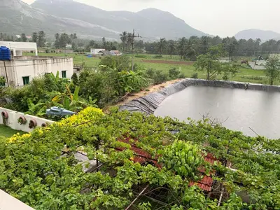 a pond of water in a garden with plants at Amaravathi home stay