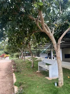 a row of park benches under a tree at Rivora Retreat in Nanjangūd