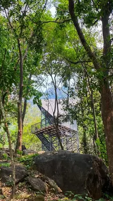 a wooden bridge in the middle of a forest at Lostcabins in Vallikavungal