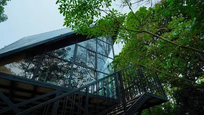 a glass building with a staircase in the trees at Lostcabins in Vallikavungal