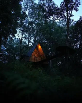 a small wooden house in the woods at night at Wildvibes India in Meppādi