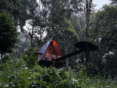 a small house in the middle of a forest at Wildvibes India in Meppādi