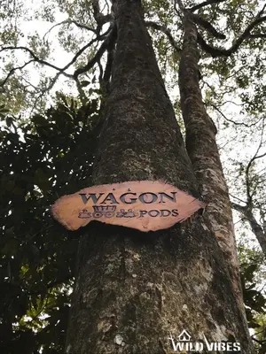 a tree with a sign on the side of it at Wildvibes India in Meppādi