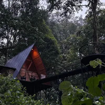 Wildvibes India