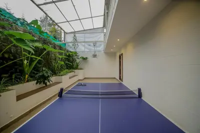 an indoor trampoline in a room with plants at Silver Heaven, Kotagiri in Kotagiri