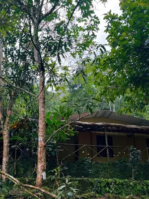 Gallery image of Hidden Escape Eco-Stay in Viripara