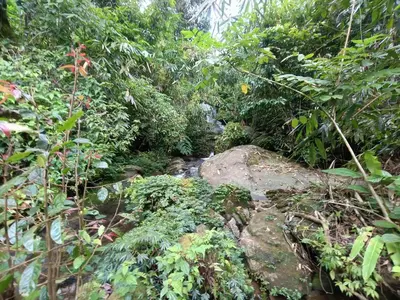 Gallery image of Hidden Escape Eco-Stay in Viripara