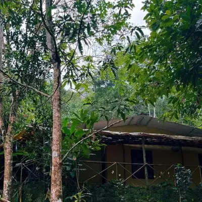 Hidden Escape Eco-Stay