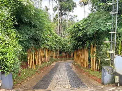 a dirt road lined with trees and a fence at ARAMAM SERVICE VIlla in Mananthavady