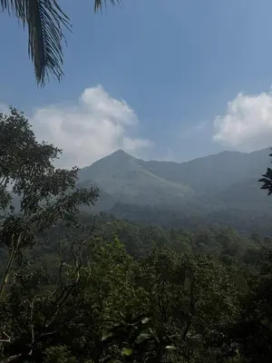 a view of auliculiculiculiculiculiculiculiculiculiculiculic at Vythiri Silent Leaf in Wayanad
