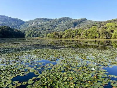 a lake covered in lilies with mountains in the background at AURA Resort kookal kodaikanal in Kūkkāl