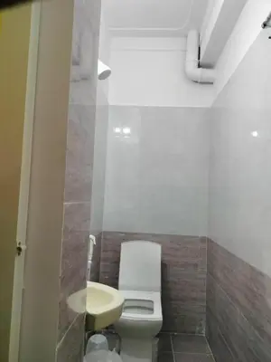 a bathroom with a white toilet and a sink at ISIRI Rooms in Mysore