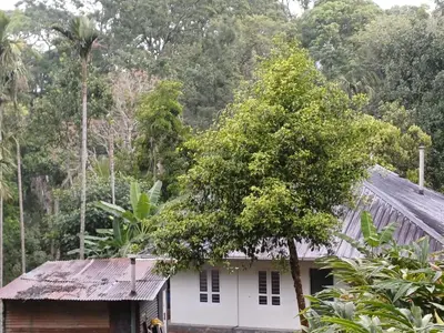 a house with a tree in front of it at Apple Valley in Munnar