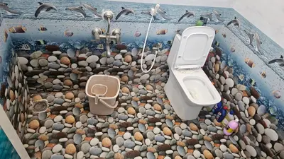 a bathroom with a toilet and birds on the rocks at BALS Villa in Tudiyalūr