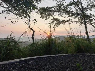 a sunset seen through the trees and grass at spiritofthewild in Attappādi