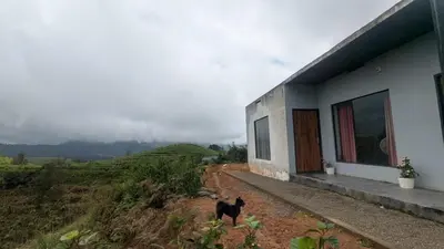 a black dog standing next to a house on a hill at spiritofthewild in Attappādi