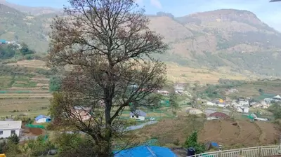 a tree on a hill with mountains in the background at Matha homestay Vattavada in Vattavada