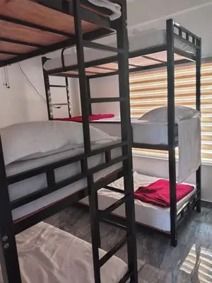 a bunk bed room with two bunk beds at Poozhikuth Homestay in Sultan Bathery