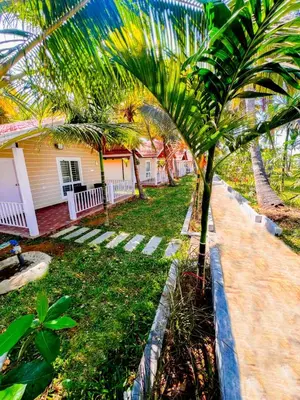 a palm tree in front of a house at Bombe Resort Channapatna in Channapatna