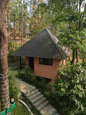 a small house with a black roof in a forest at Kashmeeram Resort in Vayittiri