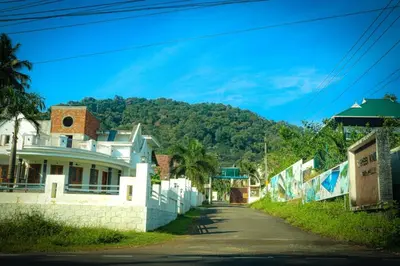a house on a street with a mountain in the background at The NEST VILLAS in Athirappilly