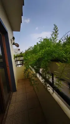 a view of a balcony with trees and a walkway at Steeva Guest house in Mysore