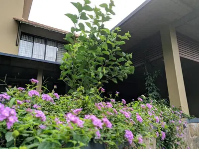 a flower garden in front of a house at Homestay Namaha in Meppādi