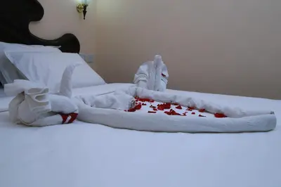 a white towel with blood on a bed at Orison Residency Hotel in Kunnamkulam