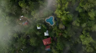 an overhead view of a park in the forest at Pugmarks Jungle Resort in Chekadi