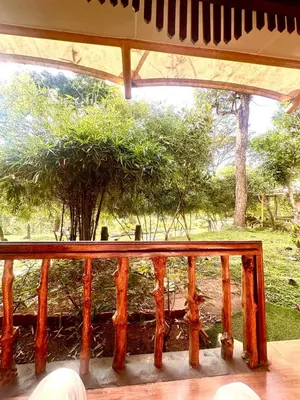 a wooden balcony with a view of a tree at Pugmarks Jungle Resort in Chekadi