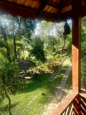 a view of a garden from a window of a house at Pugmarks Jungle Resort in Chekadi