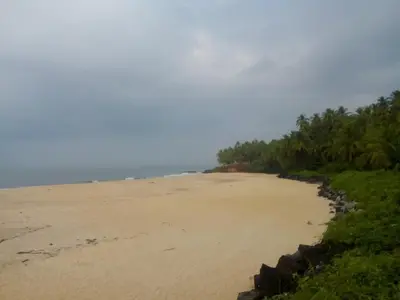 an empty beach with trees in the distance at Ivory Coaste in Kannur